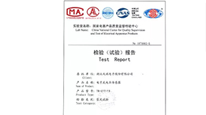 华体会官方网页版-华体会（中国）
公司10kV电子式传感器通过型式试验